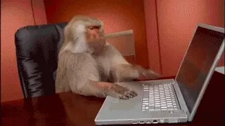 Monkey at a keyboard